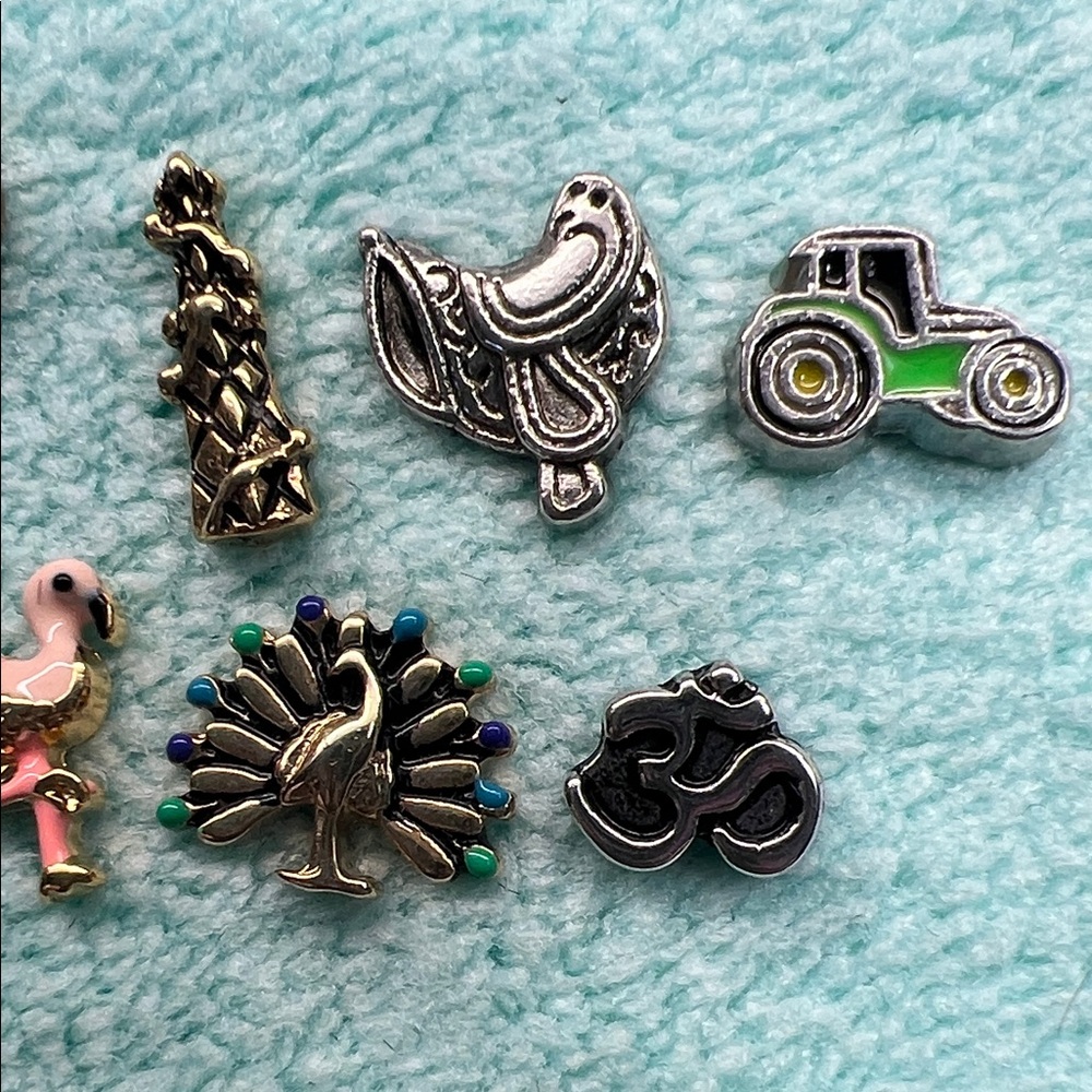 Floating Locket Charms - Picture 7 of 7